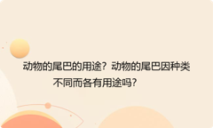 动物的尾巴的用途？动物的尾巴因种类不同而各有用途吗？