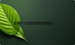 世界十大自然奇观有哪些？