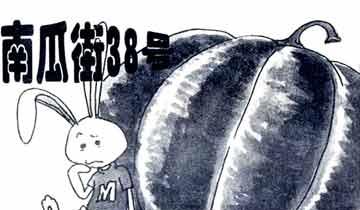 3～6岁必看的绘本：南瓜镇南瓜街38号