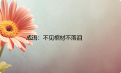 小学必懂的经典成语故事及应用：不见棺材不落泪