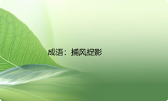 小学必懂的经典成语故事及应用：捕风捉影