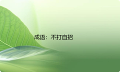小学必懂的经典成语故事及应用：不打自招