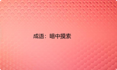 小学必懂的经典成语故事及应用：暗中摸索