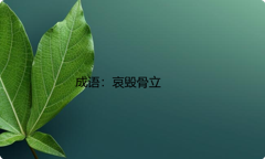 小学必懂的经典成语故事及应用：哀毁骨立