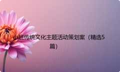小班传统文化主题活动策划案（精选5篇）