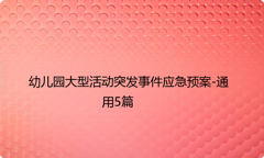 幼儿园大型活动突发事件应急预案-通用5篇