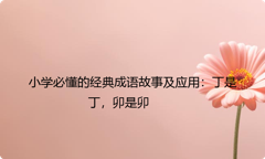 小学必懂的经典成语故事及应用：丁是丁，卯是卯