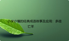 小学必懂的经典成语故事及应用：多歧亡羊