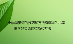小学学英语的技巧和方法有哪些？小学生学好英语的技巧和方法