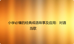 小学必懂的经典成语故事及应用：对酒当歌