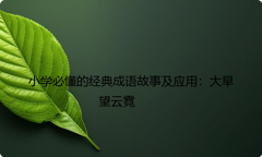小学必懂的经典成语故事及应用：大旱望云霓