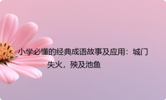 小学必懂的经典成语故事及应用：城门失火，殃及池鱼
