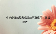 小学必懂的经典成语故事及应用：唇齿相依