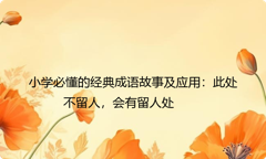小学必懂的经典成语故事及应用：此处不留人，会有留人处