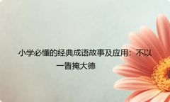 小学必懂的经典成语故事及应用：不以一眚掩大德