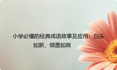 小学必懂的经典成语故事及应用：白头如新，倾盖如故