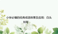 小学必懂的经典成语故事及应用：白头如新