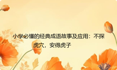 小学必懂的经典成语故事及应用：不探虎穴，安得虎子