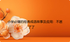 小学必懂的经典成语故事及应用：不甚了了