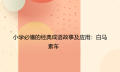 小学必懂的经典成语故事及应用：白马素车