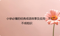 小学必懂的经典成语故事及应用：不打不成相识
