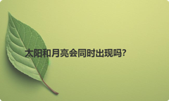 太阳和月亮会同时出现吗？