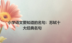 小学语文要知道的名句：苏轼十大经典名句