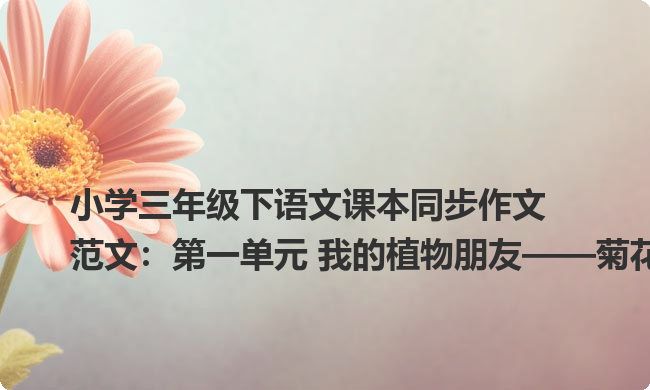 小学三年级下语文课本同步作文范文：第一单元 我的植物朋友——菊花