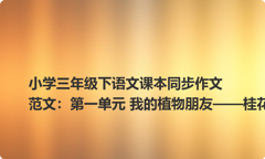 小学三年级下语文课本同步作文范文：第一