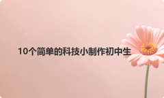 10个简单的科技小制作初中生