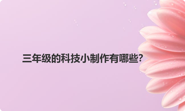 三年级的科技小制作有哪些？