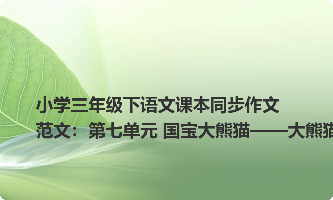 小学三年级下语文课本同步作文范文：第七单元 国宝大熊猫——大熊猫