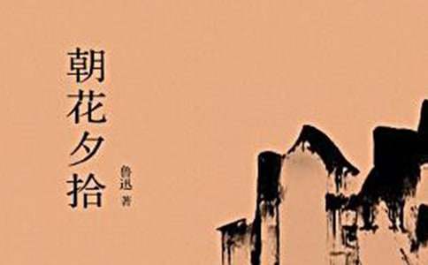 朝花夕拾读书笔记-合集14篇