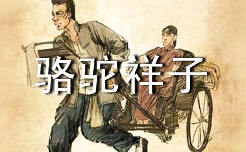  《骆驼祥子》读书笔记