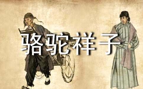骆驼祥子读书笔记-精选14篇