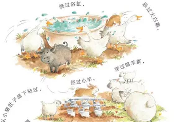 绘本：快跑,兔子快跑！