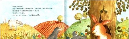 绘本：快跑,兔子快跑！