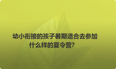 幼小衔接的孩子暑期适合去参加什么样的夏令营？