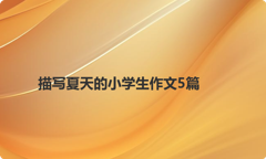 描写夏天的小学生作文5篇
