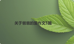 关于爸爸的爱作文5篇