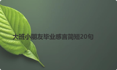 大班小朋友毕业感言简短20句