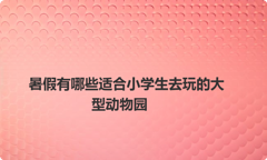 暑假有哪些适合小学生去玩的大型动物园