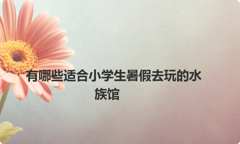 有哪些适合小学生暑假去玩的水族馆