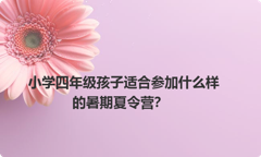 小学四年级孩子适合参加什么样的暑期夏令营？