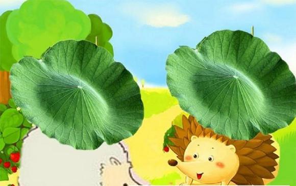 幼儿绘本故事推荐：小鼹鼠的空调屋