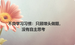 不良学习习惯：只顾埋头做题，没有自主思考