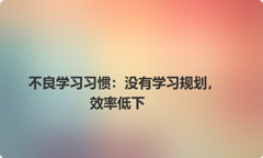 不良学习习惯：没有学习规划，效率低下