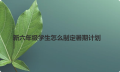新六年级学生怎么制定暑期计划