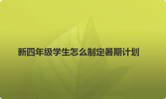 新四年级学生怎么制定暑期计划