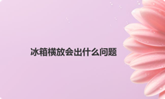 冰箱横放会出什么问题